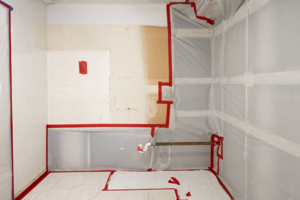 Best Mold Prevention Services  in Colquitt, GA