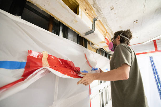 Best Mold Damage Restoration  in Colquitt, GA