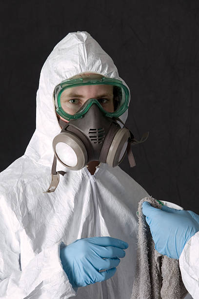 Best Basement Mold Removal  in Colquitt, GA